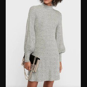 Express Cozy Ribbed Mock Neck Trapeze Dress
